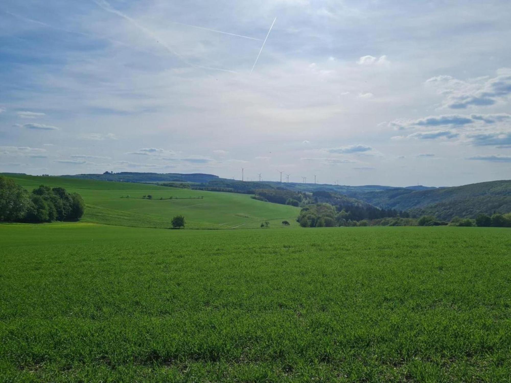 Tranquil Holiday Home In Filz In The Eifel With Garden Eksteriør billede
